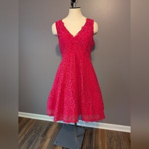 Soprano Vibrant Pink Lace Dress